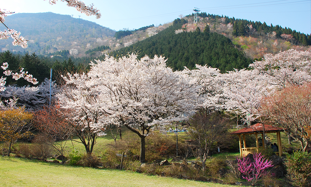 Beppu Mountains